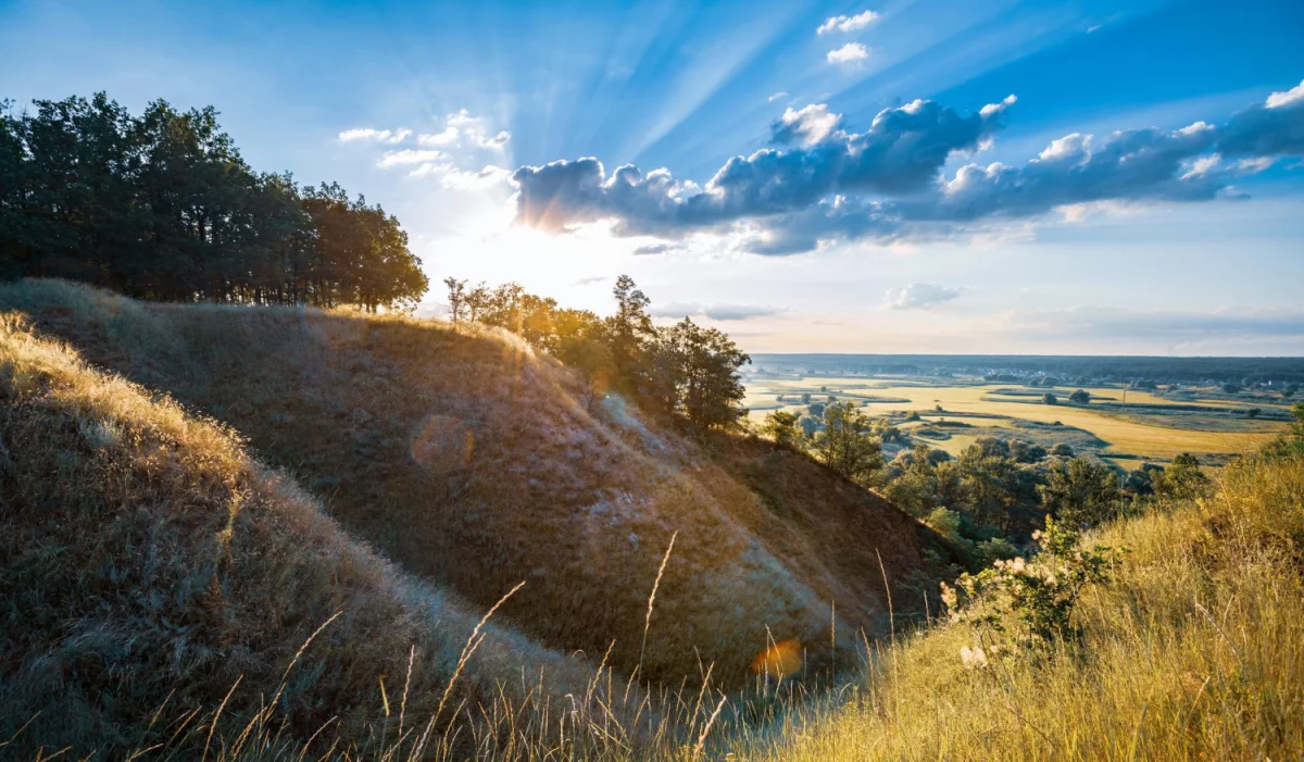 Nowe dane jak kupić gry