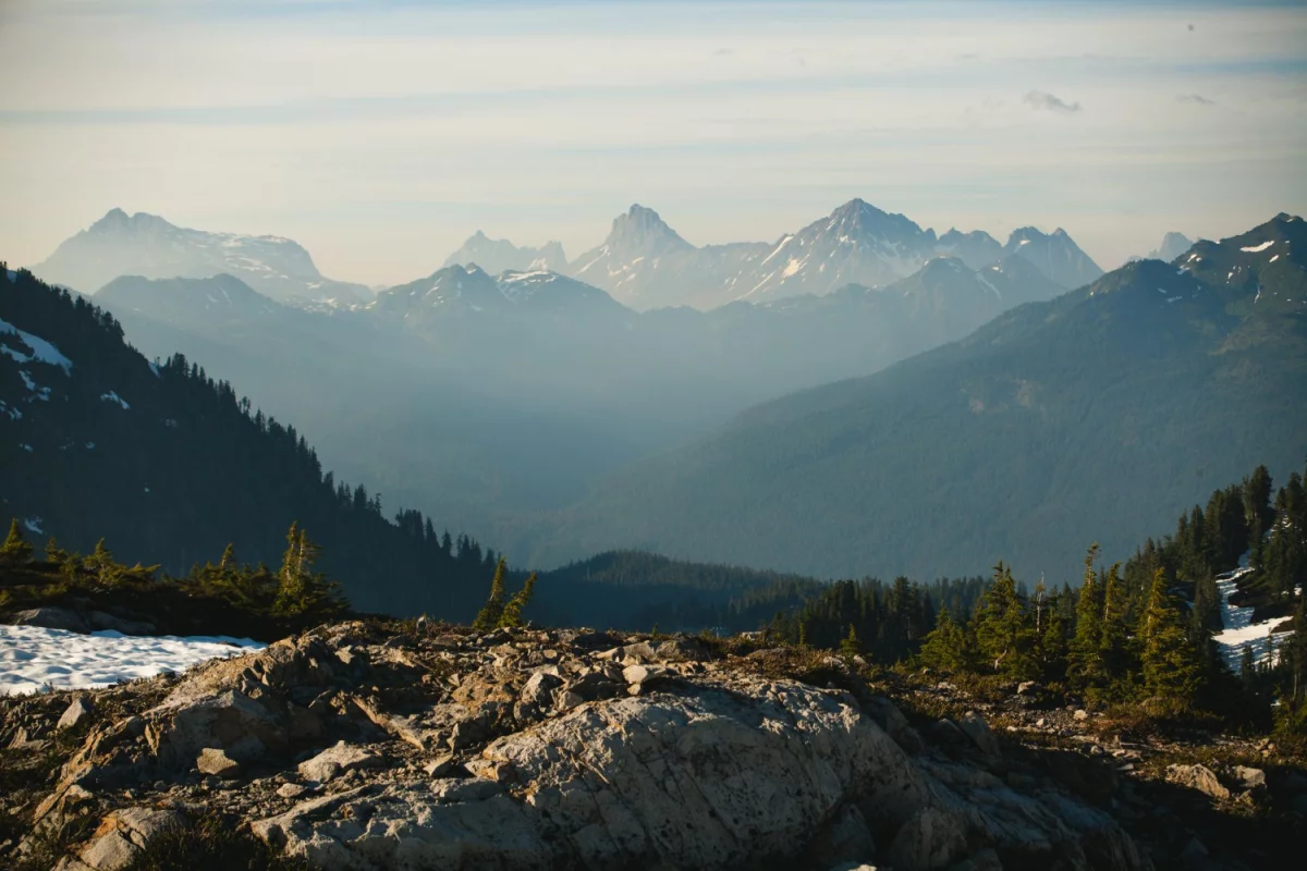 zadbać o zdrowie i urodę? Szybko!