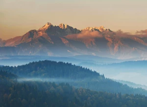 Oto jak lepiej pozycjonować sklep internetowy