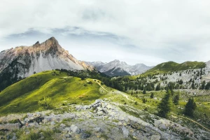 Jak długo musisz robić marketing?