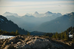Gdzie taniej zabrać się za protetykę?